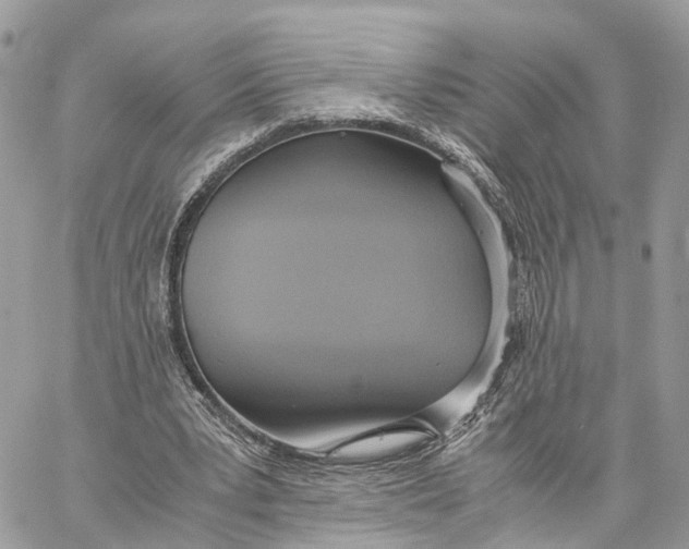 X0000060260391200511181359