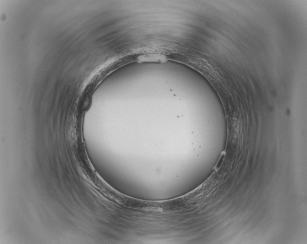 X0000060260392200511181359