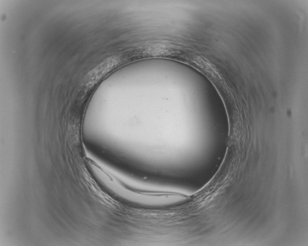 X0000060260393200511181359