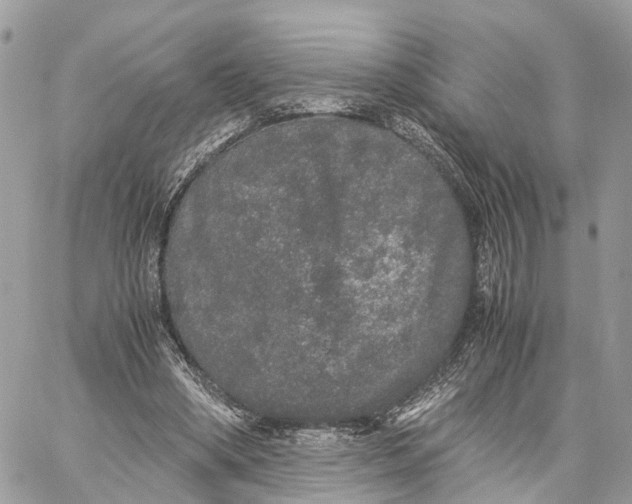 X0000060260394200511181359