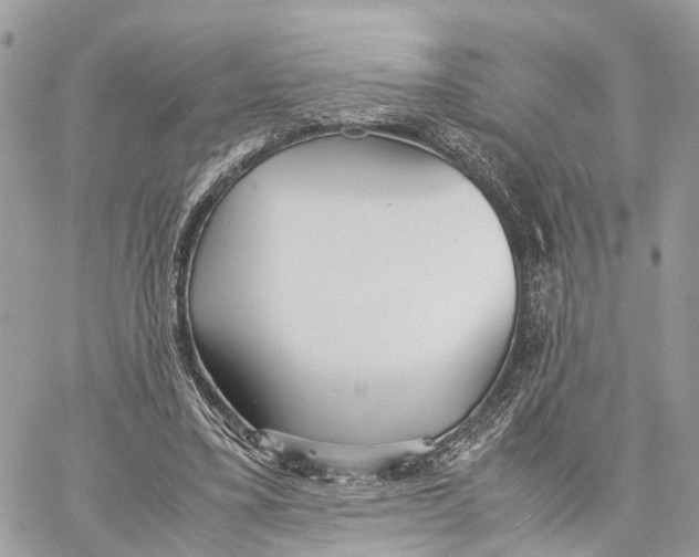 X0000060260395200511181359