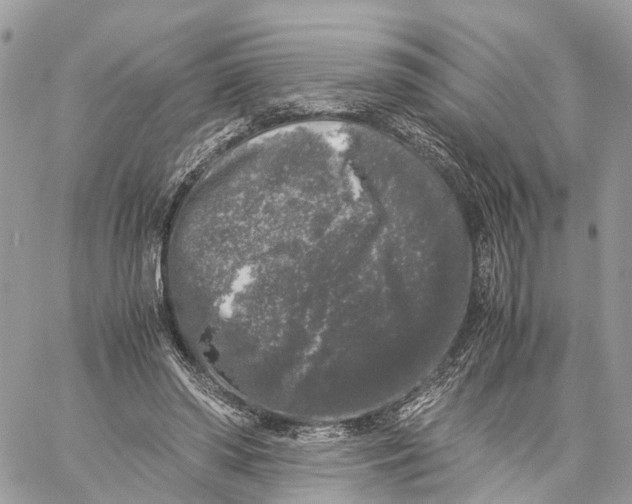 X0000060260398200511181359