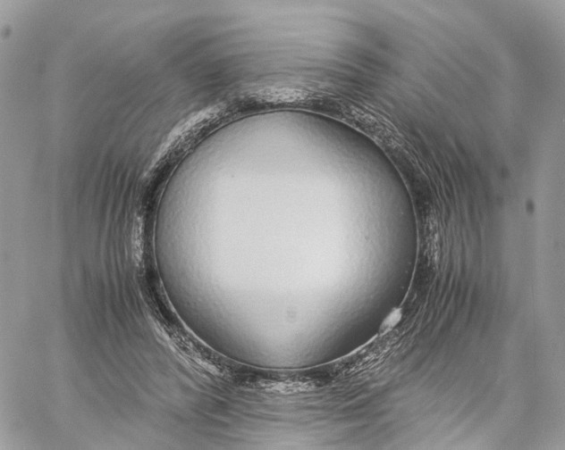 X0000060260400200511181359