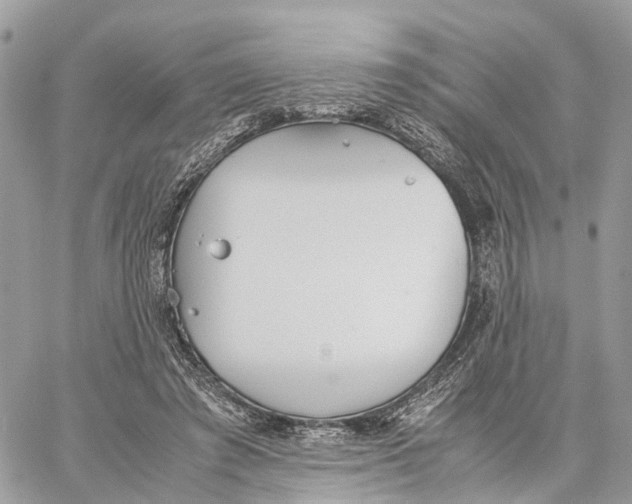 X0000060260401200511181359