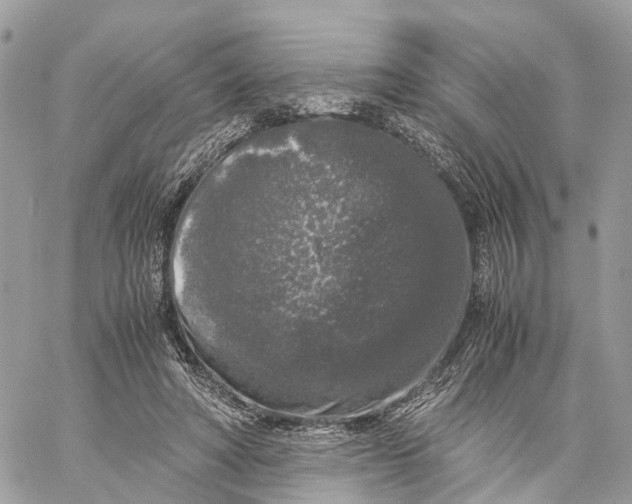 X0000060260402200511181359