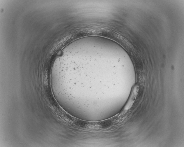 X0000060260403200511181359