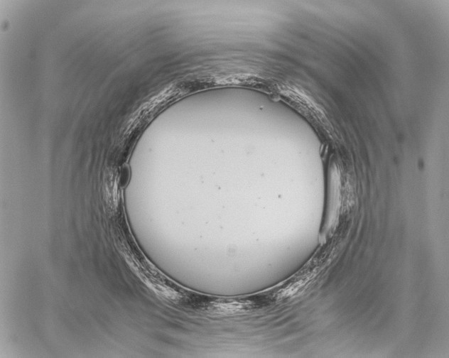 X0000060260405200511181359