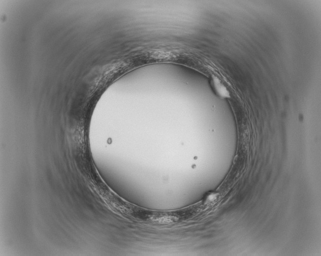 X0000060260407200511181359