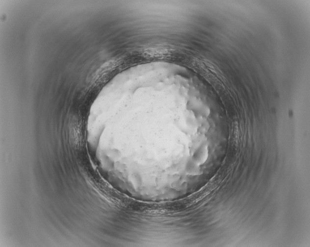 X0000060260408200511181359