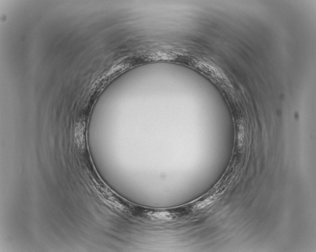 X0000060260409200511181359