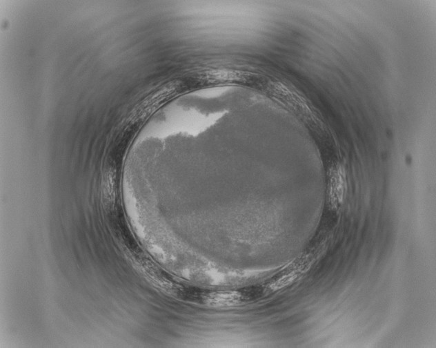 X0000060260410200511181359