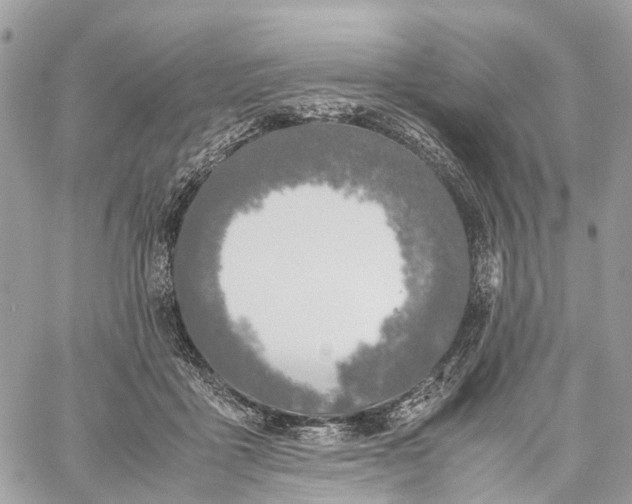 X0000060260411200511181359