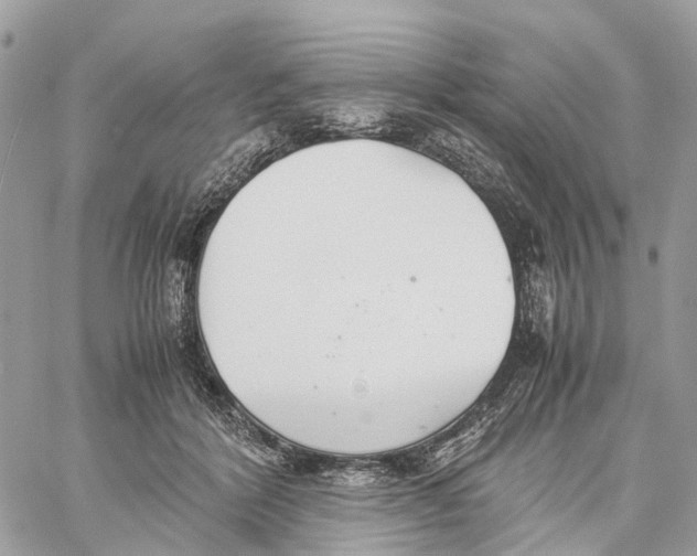 X0000060260412200511181359