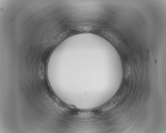 X0000060260414200511181359