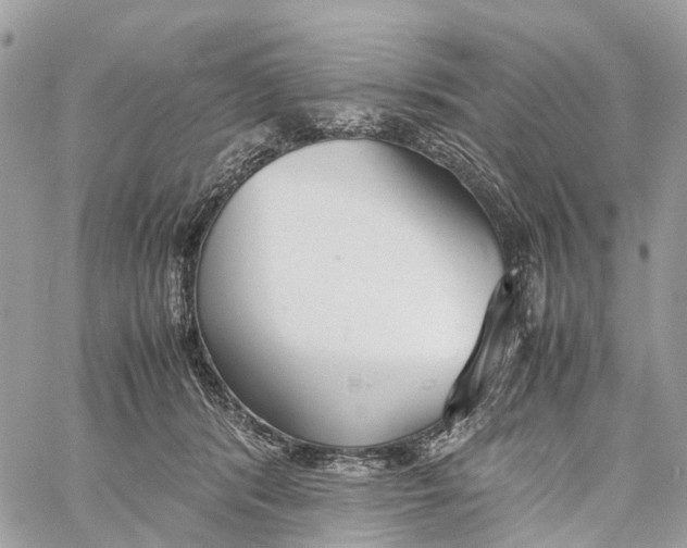 X0000060260416200511181359