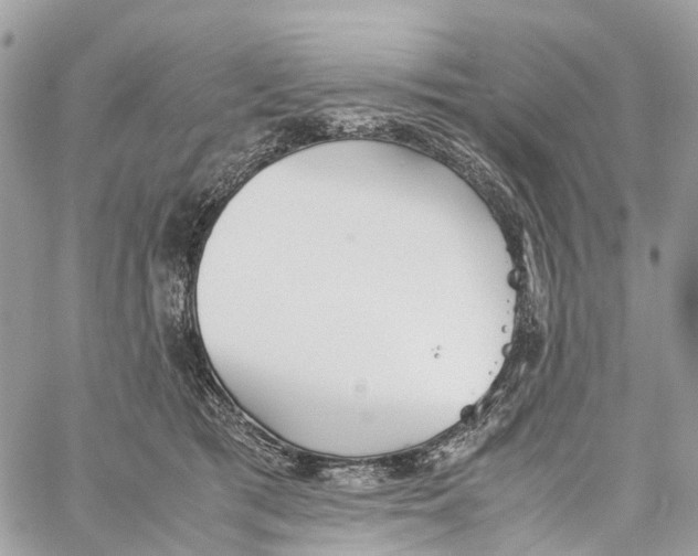 X0000060260417200511181359