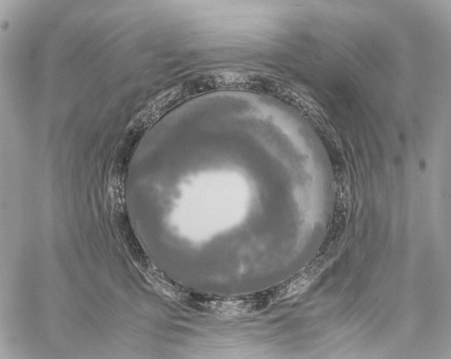 X0000060260419200511181359