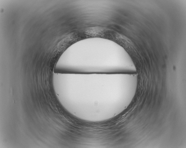 X0000060260420200511181359