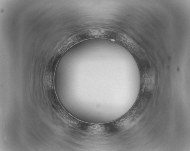 X0000060260421200511181359