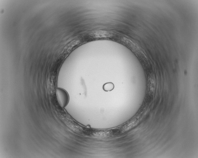 X0000060260422200511181359