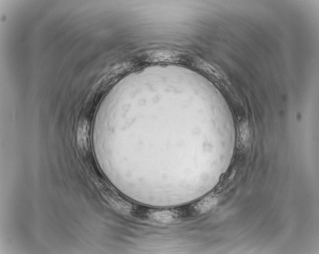 X0000060260423200511181359