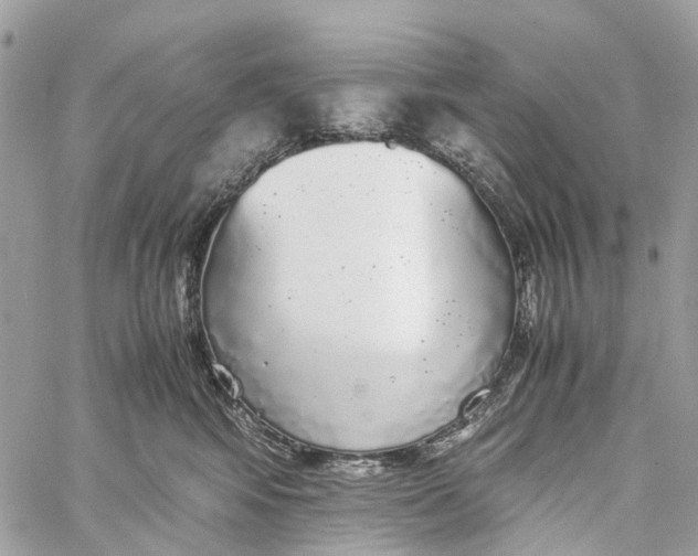 X0000060260424200511181359