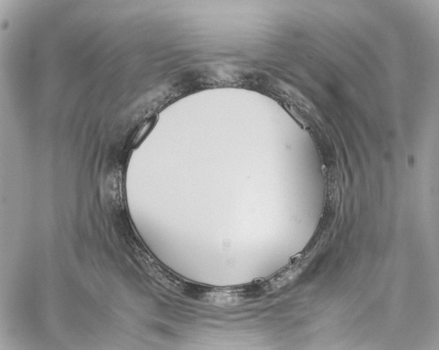 X0000060260425200511181359