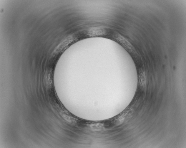 X0000060260426200511181359