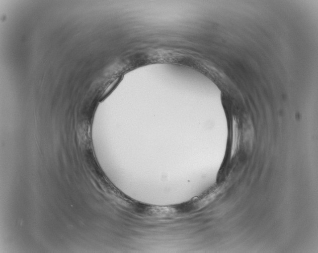 X0000060260429200511181359