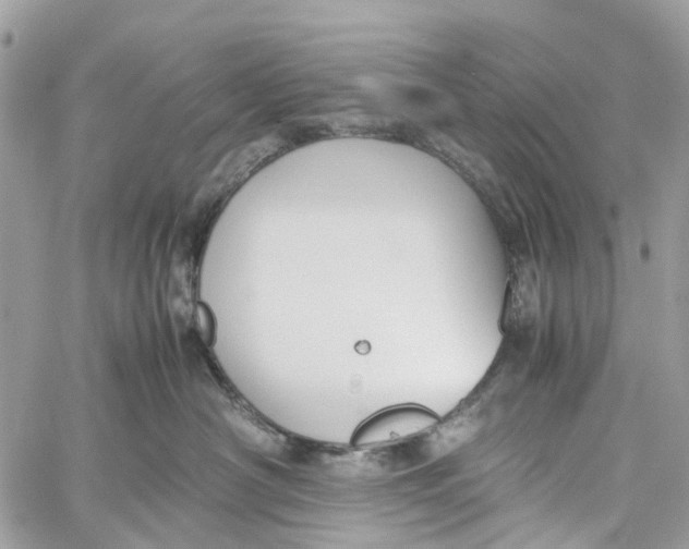 X0000060260430200511181359