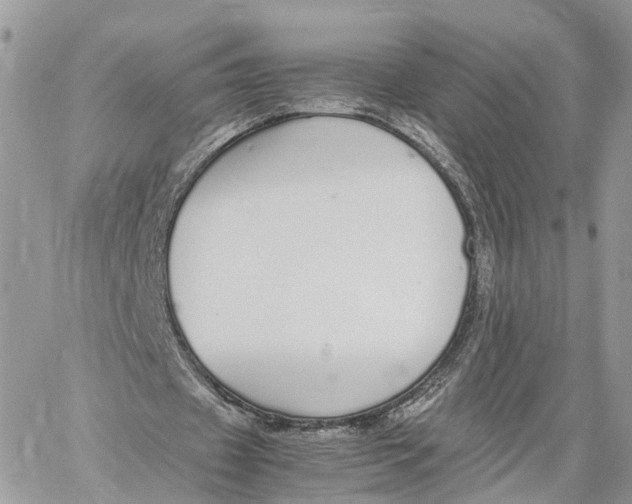 X0000060260433200511181358