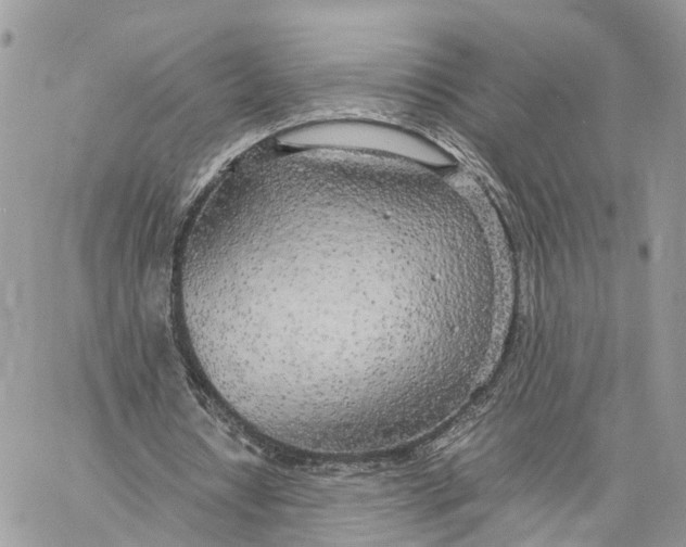 X0000060260434200511181358