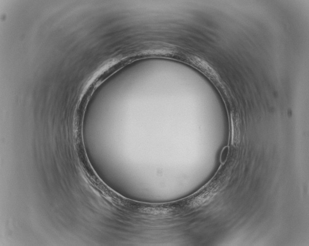 X0000060260435200511181358