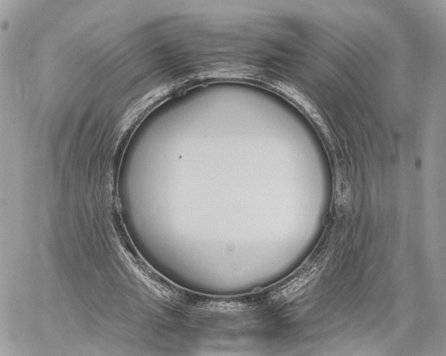 X0000060260437200511181358