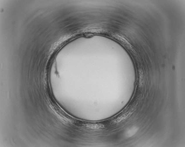 X0000060260439200511181358