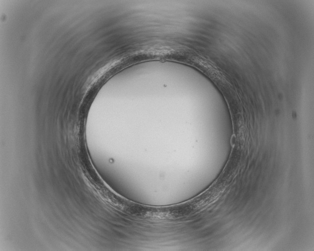 X0000060260440200511181358