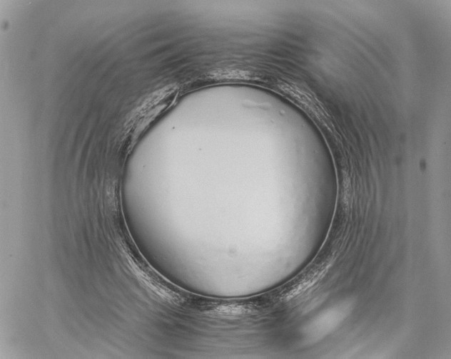 X0000060260441200511181358