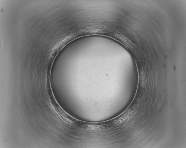 X0000060260442200511181358