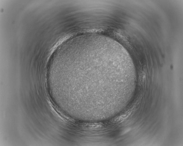 X0000060260443200511181358