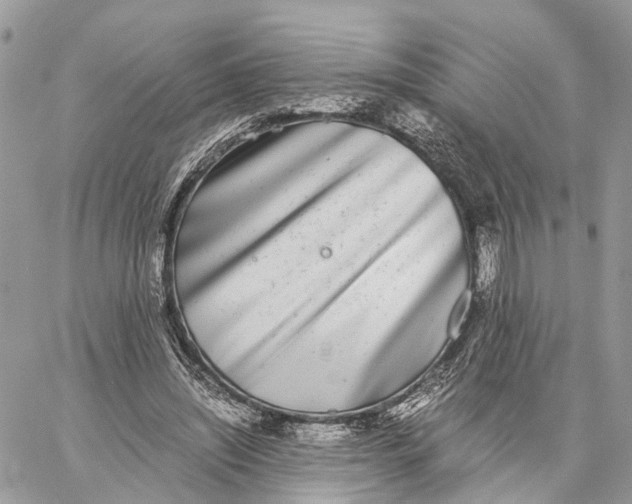 X0000060260444200511181358