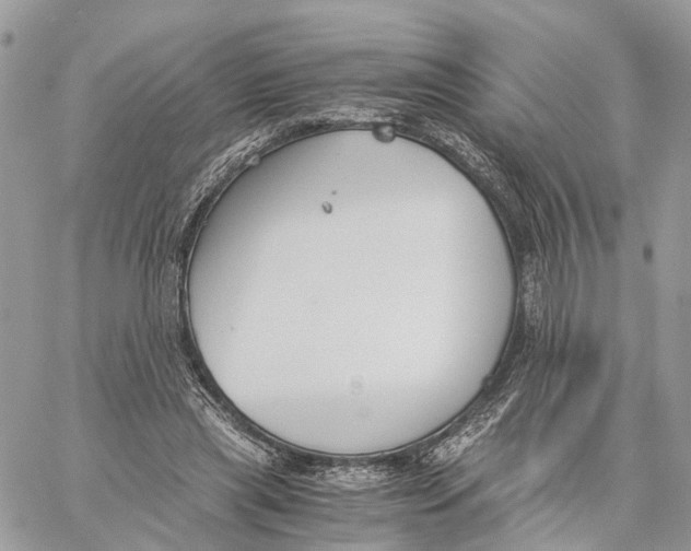 X0000060260445200511181358