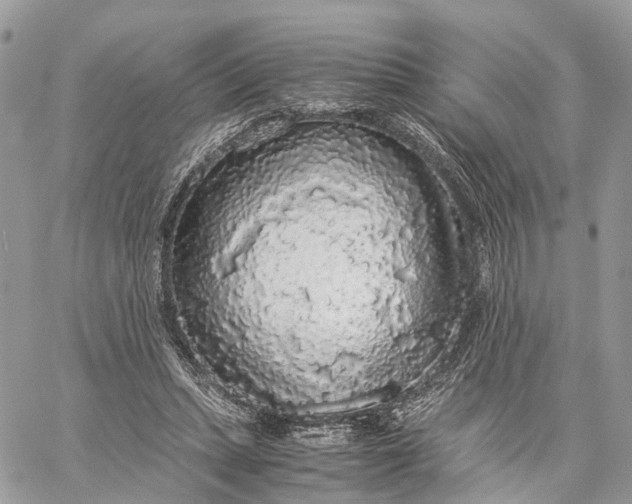 X0000060260447200511181358