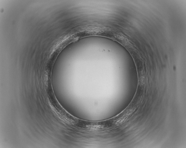 X0000060260448200511181358