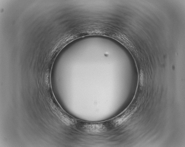 X0000060260449200511181358