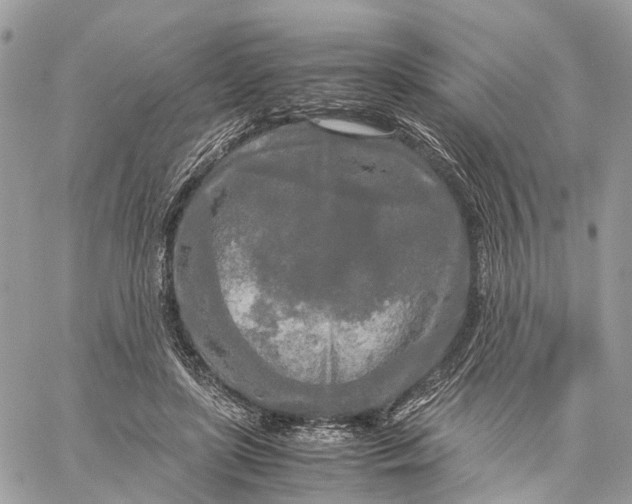 X0000060260451200511181358