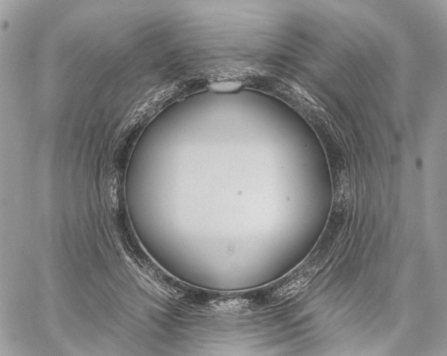 X0000060260452200511181358