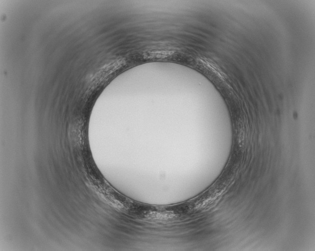 X0000060260455200511181358