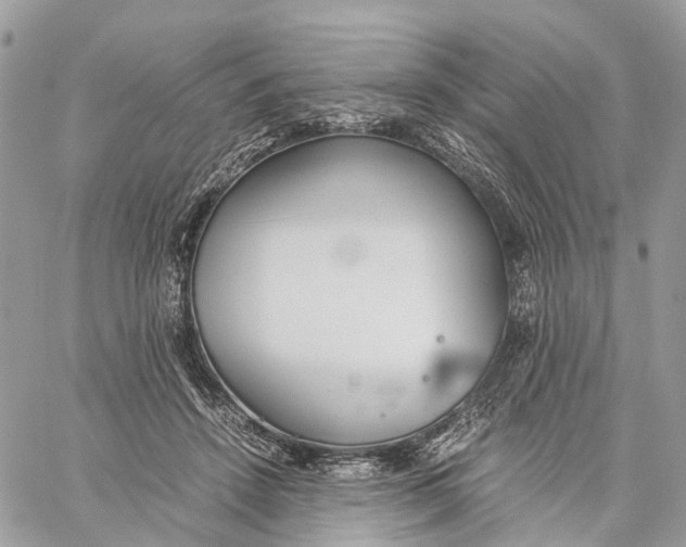 X0000060260456200511181358