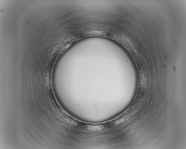 X0000060260457200511181358