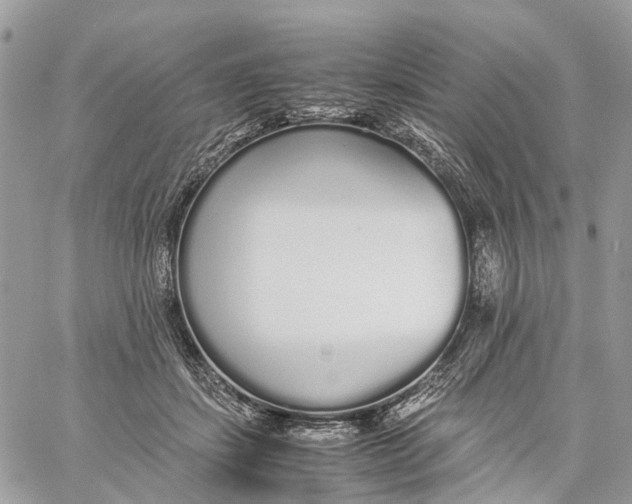 X0000060260459200511181358